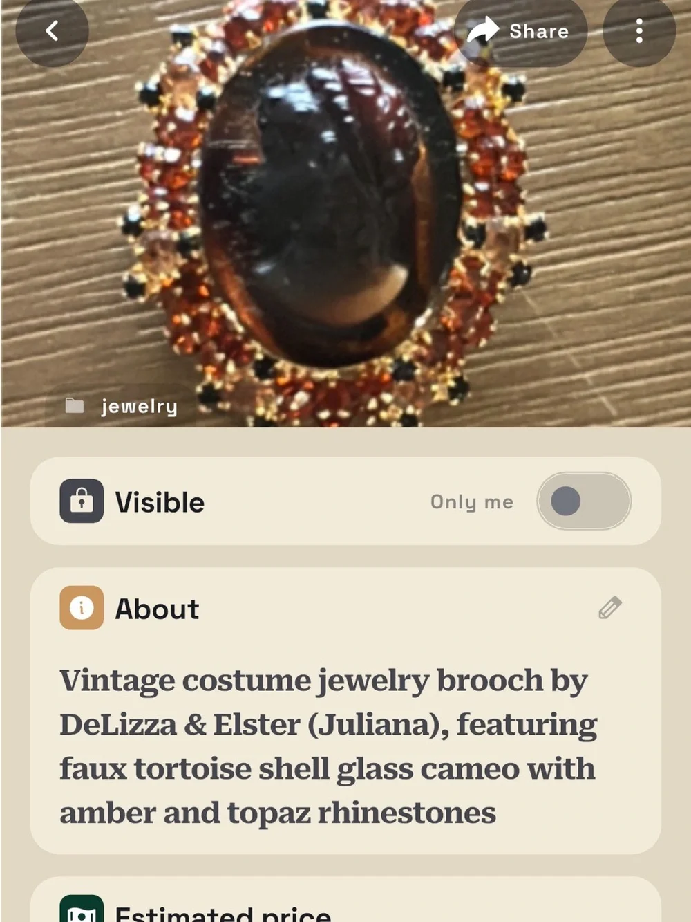 Vintage-Delazza-Elster Juliana Black Cameo Brooch with Amber and Black Accents